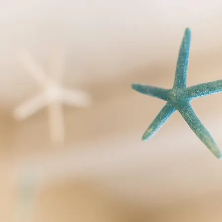 Dimora Mediterranea 4* Polignano a Mare